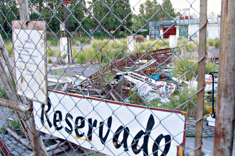 El cañaveral sospechado