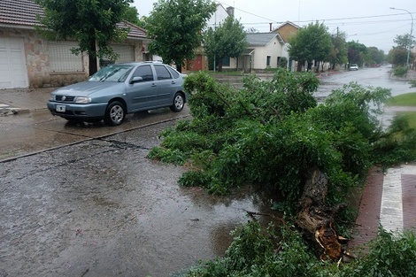 Destrozos en la costa por el temporal