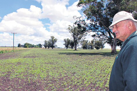 Juan Kiehr, en su chacra de La Aurora. “Quiero dejarles a mis nietos un campo mejor del que heredé.” (Fuente: Gentileza Greenpeace)