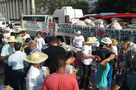 Yerbatazo en Plaza de Mayo