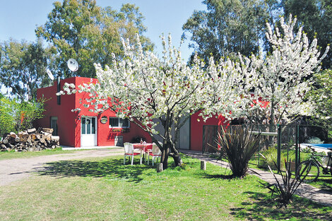 Lo de Graciela, una casa de té, tortas y productos regionales en Colonia Hinojo. (Fuente: Gentileza Lo de Graciela)