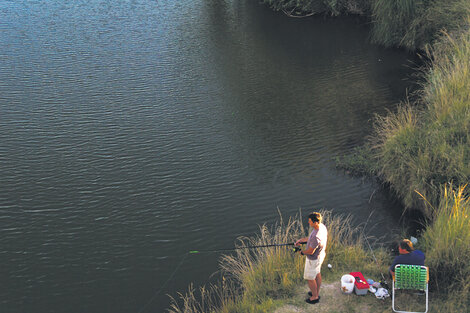 El arroyo Tapalqué atraviesa Olavarría y es un clásico para la pesca los fines de semana.