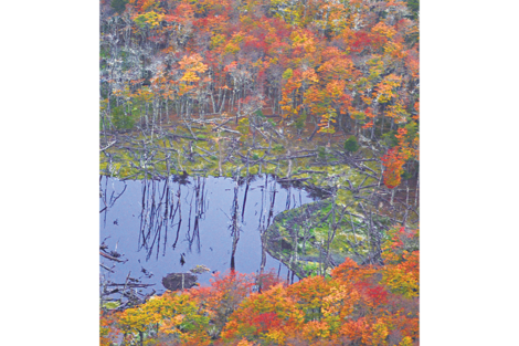  Los colores rojos y amarillos del paisaje otoñal fueguino desde el helicóptero.