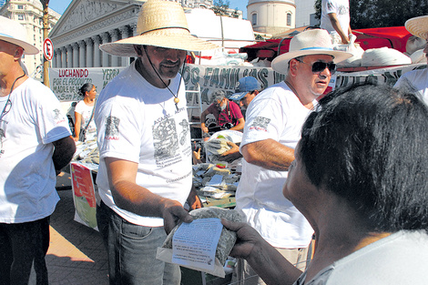 Yerbatazo frente a la Rosada