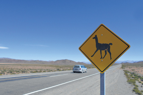 Recta del Tin Tin, en Los Cardones, donde según los lugareños la ruta coincide con el Qapaq Ñan. (Fuente: APN)