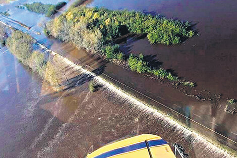 La interna que sube con el agua