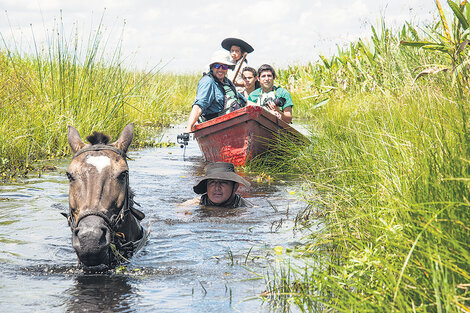 Chopé, isleño y guía baqueano, conduce una de las canoas cinchada a caballo.