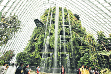 Una montaña tropical, con cascada incluida, en Gardens by the Bay. (Fuente: Graciela Cutuli)