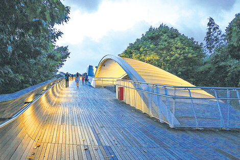 Henderson Waves, un puente envuelto en vegetación que genera la ilusión de una ola. (Fuente: Graciela Cutuli)