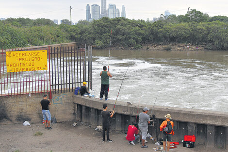 En busca del río perdido