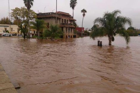 Con el agua al cuello