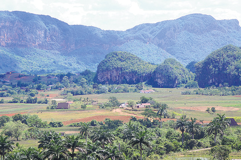 Postal verde en el valle de Viñales, con sus singulares montañas “jorobadas”. (Fuente: Julián Varsavsky)