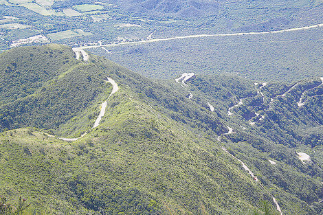 Sinuosas y verdes, las rutas se internan en las montañas catamarqueñas para viajar al pasado. (Fuente: María Zacco)