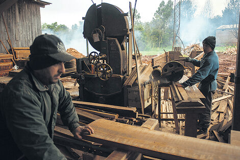 Crisis en la industria maderera