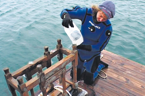 Las piezas rescatadas bajo el mar deben ser sometidas a un tratamiento especial. (Fuente: Gentileza Uriel Sokolovicz)