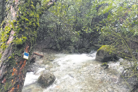 El símbolo celeste y blanco de la Huella Andina, el sendero de recorrido más largo del país.