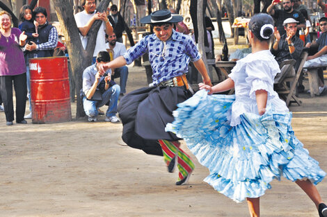 Chacarera, gato y escondido en el Patio del Indio Froilán. (Fuente: Pablo Donadio)