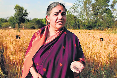 Vandana Shiva pidió ser considerada como amicus curiae para opinar sobre la soja de Monsanto.