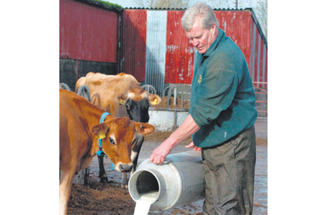 El cierre de tambos ha disminuido drásticamente la producción de leche.