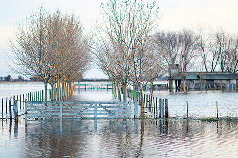 La Pampa Húmeda bajo el agua