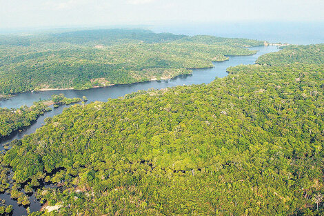 Vista aérea de un área selvática en Amazonia, cerca de Manaos, similar a la que Temer habilitó a las mineras.