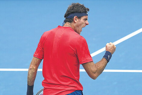 Del Potro estiró su ventaja en el historial sobre el checo Berdych a 5-3. (Fuente: AFP)