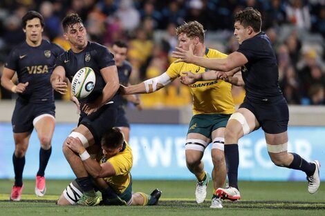 Nueva derrota de los Pumas en el Rugby Championship