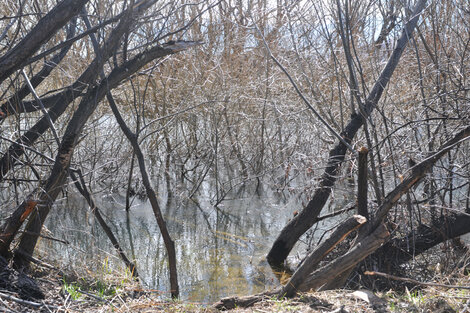 Retiraron el cuerpo del río Chubut