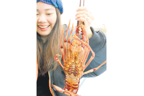 Crayfish o rock lobster, la langosta que conforma el “plato estrella” de la travesía. (Fuente: Graciela Cutuli)