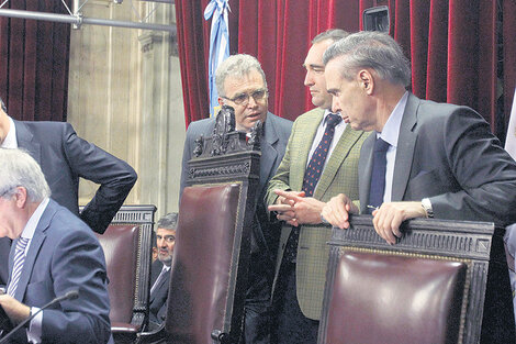 El proyecto presentado cuenta con las firmas de Federico Pinedo y Miguel Angel Pichetto, entre otros. (Fuente: DyN)