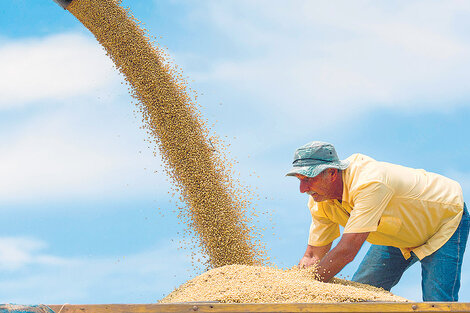 Los productores ya no tendrán la obligación de traer los dólares que genera el suelo argentino.