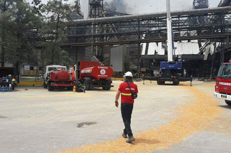 La reacción por la explosión en la cerealera