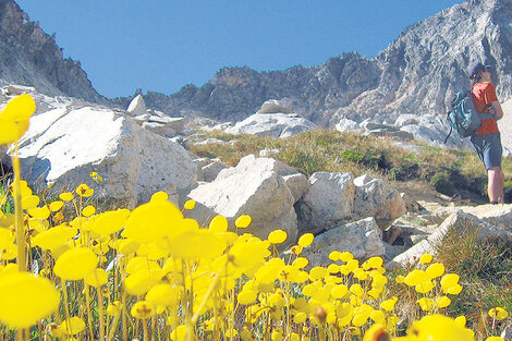 Bariloche para descubrir