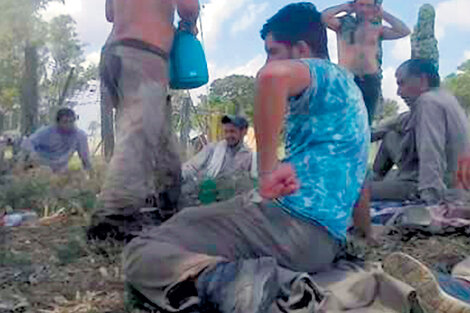 Los trabajadores santiagueños provenientes de Salavina en el campo bonaerense de Advanta.