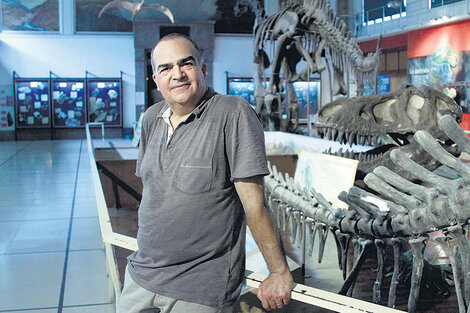 “Argentina es espléndida para la paleontología”