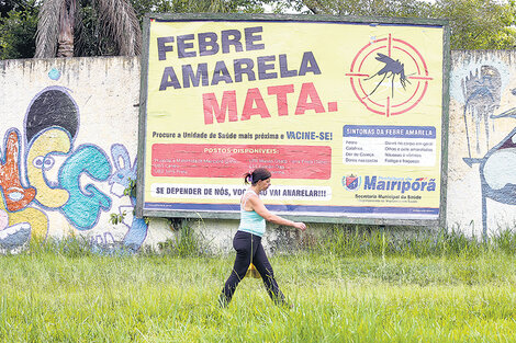 El fantasma del virus, en pie