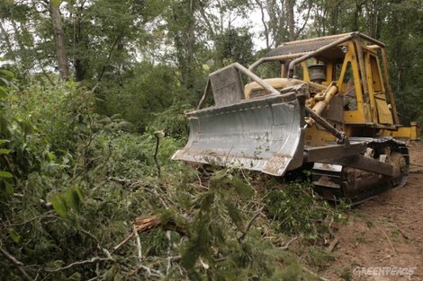 Para el Gobierno, la recategorización de las fincas es incompatible con la ley de Bosques.