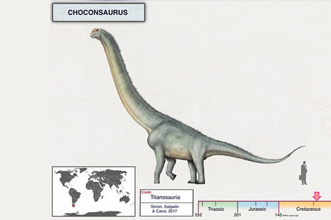 El Choconsaurus, otro gigante neuquino