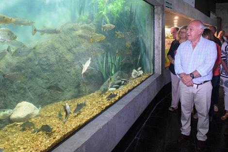 "Esto no está copiado de ningún lugar del mundo", dijo Lifschitz al visitar el acuario. (Fuente: Sebastián Joel Vargas)