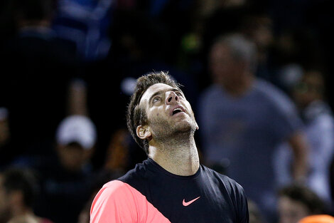 Terminó el sueño de Del Potro en Miami