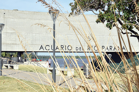 No bien se llega, la explanada que lleva al nuevo acuario permite ver desde la calle el lomo del río por debajo del nuevo edificio. (Fuente: María Clara Martínez)