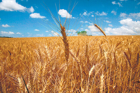 Los mayoristas estuvieron empujados por el alza en productos agropecuarios, además de pesqueros e hidrocarburos.