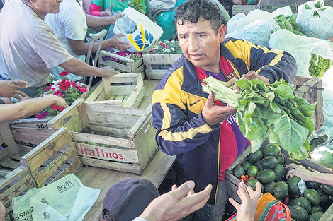 Verdurazo y Estado ausente