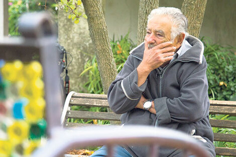 “¿Por qué hay tanta enfermedad del balero?”