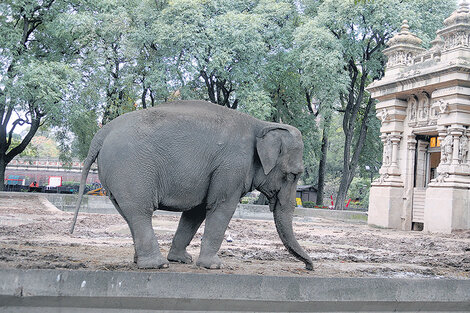 El Ecoparque, un limbo porteño