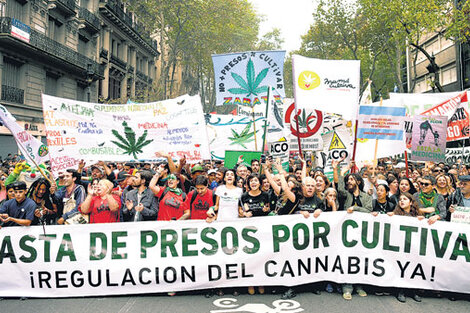 La marcha en Buenos Aires puso el foco en el autocultivo.