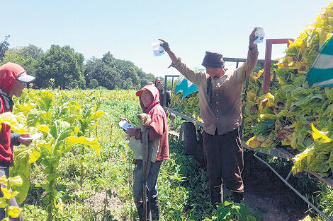La doble vara del ajuste en el campo