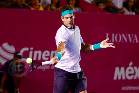 Del Potro jugará la final de Los Cabos