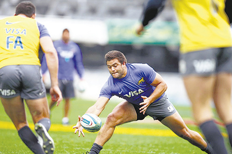 Los Pumas ante un nuevo Championship