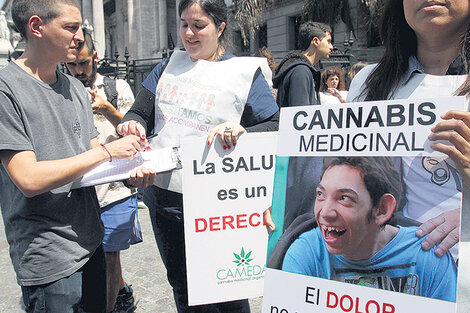 La cátedra dará un abordaje integral y abarcará aspectos de ciencias naturales, pero también de ciencias sociales.